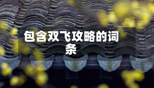 包含双飞攻略的词条