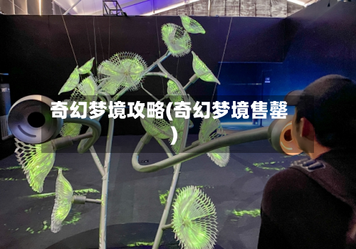 奇幻梦境攻略(奇幻梦境售罄)
