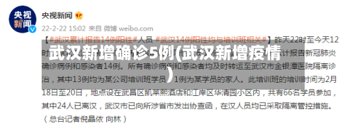 武汉新增确诊5例(武汉新增疫情)