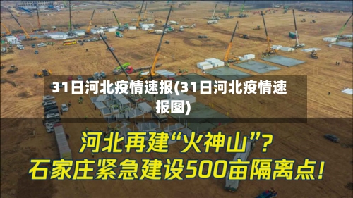 31日河北疫情速报(31日河北疫情速报图)-第2张图片