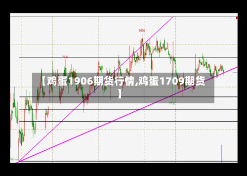 【鸡蛋1906期货行情,鸡蛋1709期货】