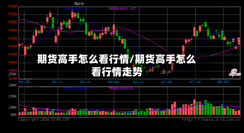 期货高手怎么看行情/期货高手怎么看行情走势-第2张图片