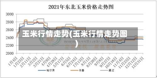 玉米行情走势(玉米行情走势图)