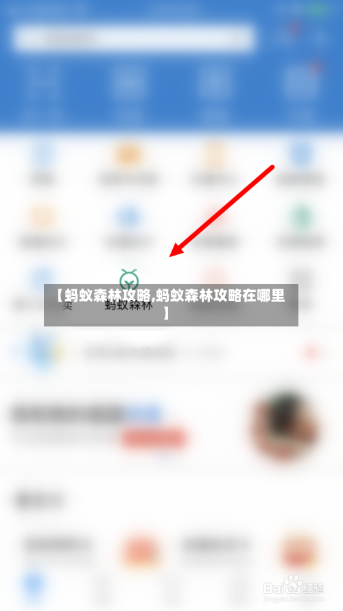 【蚂蚁森林攻略,蚂蚁森林攻略在哪里】