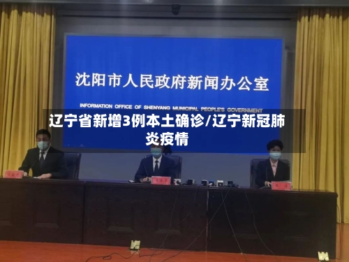 辽宁省新增3例本土确诊/辽宁新冠肺炎疫情-第2张图片
