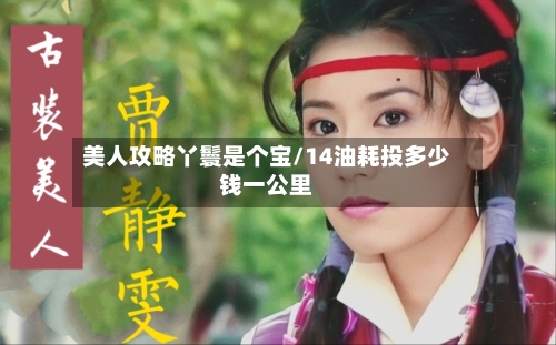 美人攻略丫鬟是个宝/14油耗投多少钱一公里