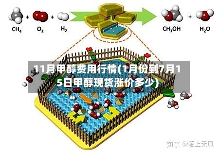 11月甲醇费用行情(1月份到7月15日甲醇现货涨价多少)