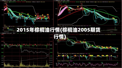 2015年棕榈油行情(棕榈油2005期货行情)-第2张图片