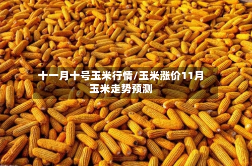 十一月十号玉米行情/玉米涨价11月玉米走势预测