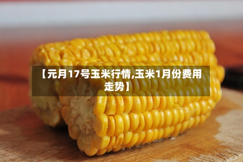 【元月17号玉米行情,玉米1月份费用走势】-第3张图片