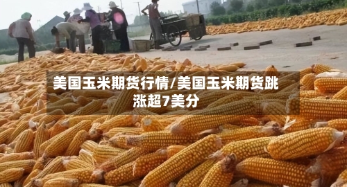 美国玉米期货行情/美国玉米期货跳涨超7美分-第2张图片