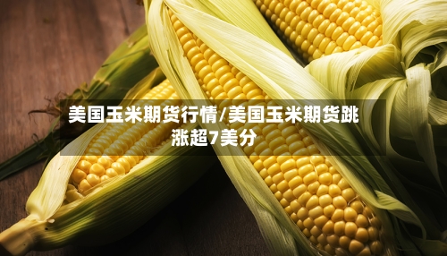 美国玉米期货行情/美国玉米期货跳涨超7美分