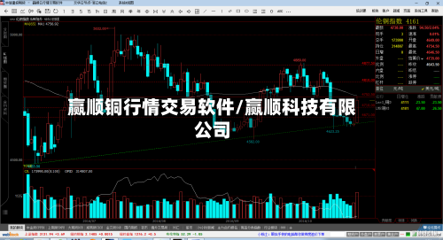 赢顺铜行情交易软件/赢顺科技有限公司
