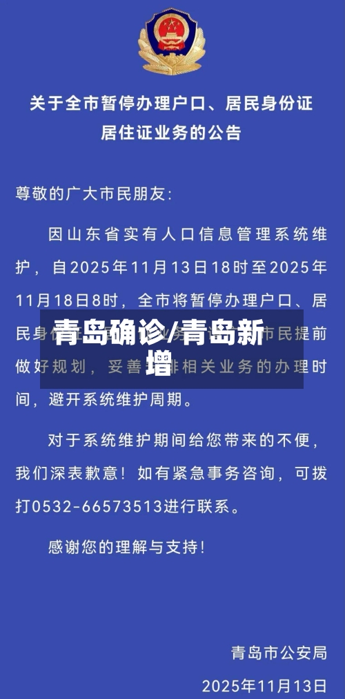 青岛确诊/青岛新增