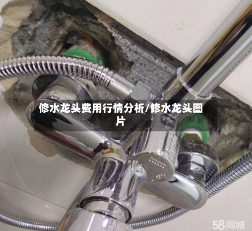 修水龙头费用行情分析/修水龙头图片-第2张图片
