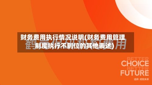 财务费用执行情况说明(财务费用管理制度执行不到位的其他表述)-第3张图片