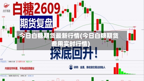 今日白糖期货最新行情(今日白糖期货费用实时行情)