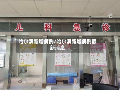 哈尔滨新增病例/哈尔滨新增病例最新消息-第2张图片