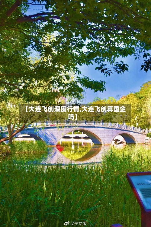 【大连飞创深度行情,大连飞创算国企吗】-第3张图片