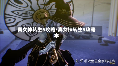 真女神转生5攻略/真女神转生5攻略本-第2张图片
