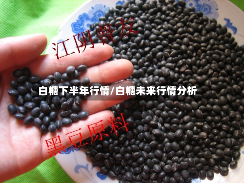 白糖下半年行情/白糖未来行情分析-第2张图片