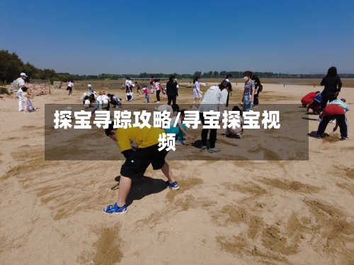 探宝寻踪攻略/寻宝探宝视频