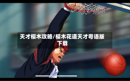 天才樱木攻略/樱木花道天才粤语版下载