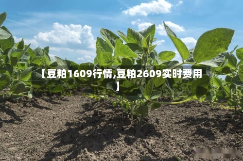 【豆粕1609行情,豆粕2609实时费用】
