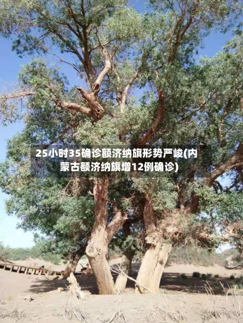 25小时35确诊额济纳旗形势严峻(内蒙古额济纳旗增12例确诊)