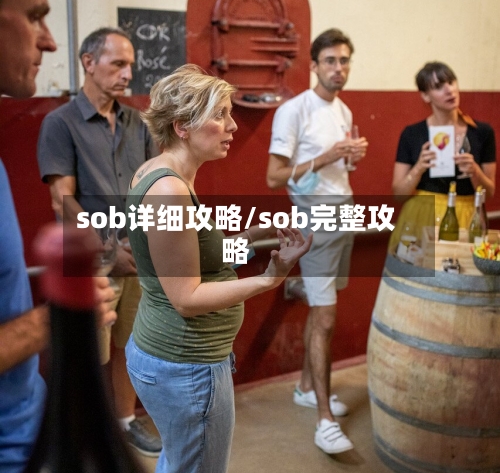 sob详细攻略/sob完整攻略