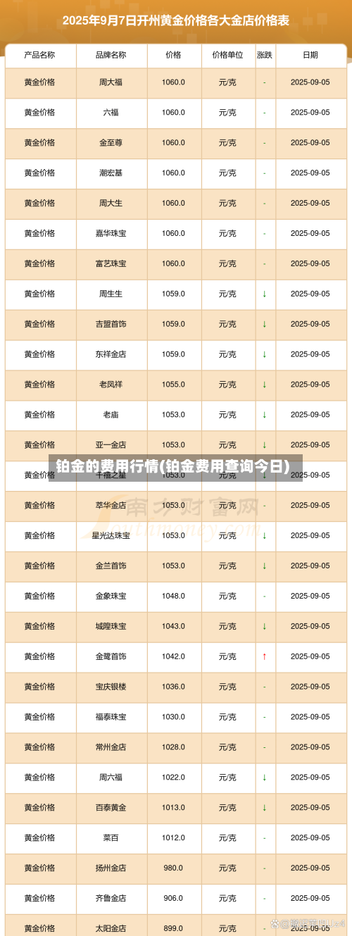 铂金的费用行情(铂金费用查询今日)