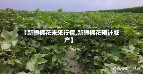 【新疆棉花未来行情,新疆棉花预计减产】