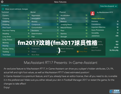 fm2017攻略(fm2017球员性格)-第2张图片