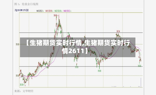 【生猪期货实时行情,生猪期货实时行情2611】-第2张图片