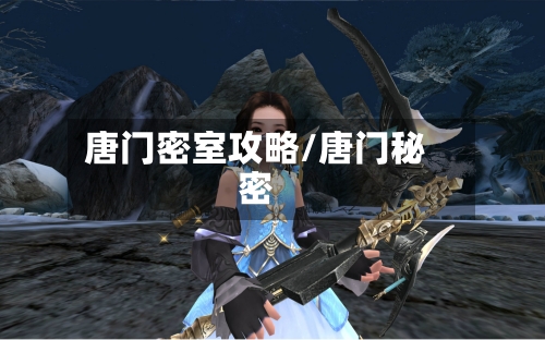 唐门密室攻略/唐门秘密