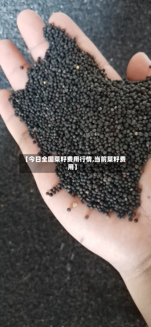 【今日全国菜籽费用行情,当前菜籽费用】