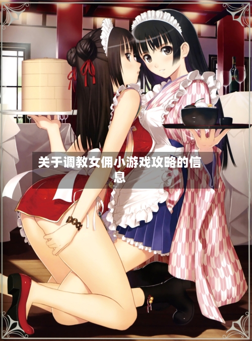 关于调教女佣小游戏攻略的信息-第3张图片