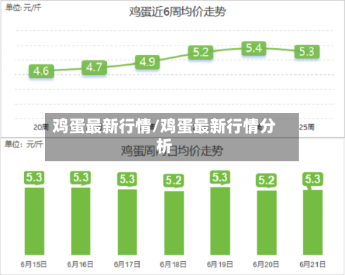 鸡蛋最新行情/鸡蛋最新行情分析-第3张图片