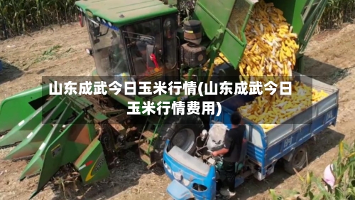 山东成武今日玉米行情(山东成武今日玉米行情费用)-第2张图片