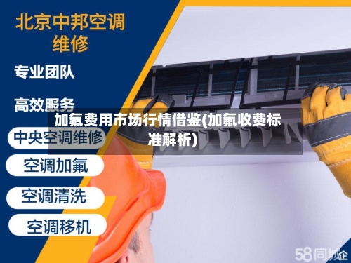 加氟费用市场行情借鉴(加氟收费标准解析)-第2张图片