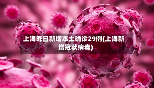 上海昨日新增本土确诊29例(上海新增冠状病毒)