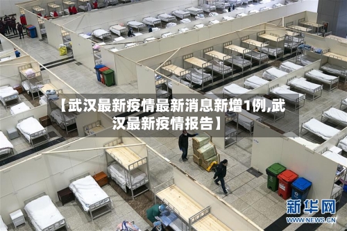 【武汉最新疫情最新消息新增1例,武汉最新疫情报告】-第3张图片