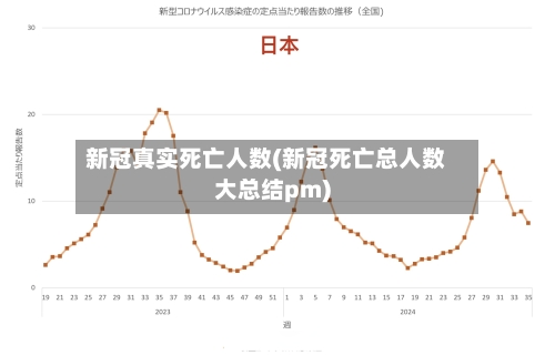 新冠真实死亡人数(新冠死亡总人数大总结pm)
