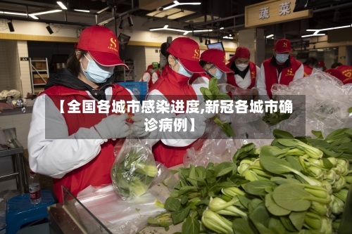 【全国各城市感染进度,新冠各城市确诊病例】