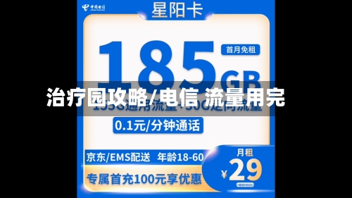 治疗园攻略/电信 流量用完-第2张图片