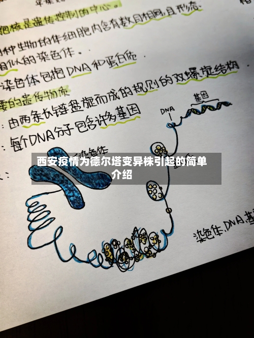 西安疫情为德尔塔变异株引起的简单介绍-第3张图片