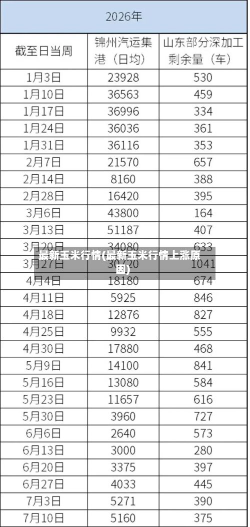 最新玉米行情(最新玉米行情上涨原因)