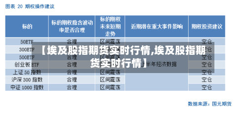 【埃及股指期货实时行情,埃及股指期货实时行情】-第2张图片