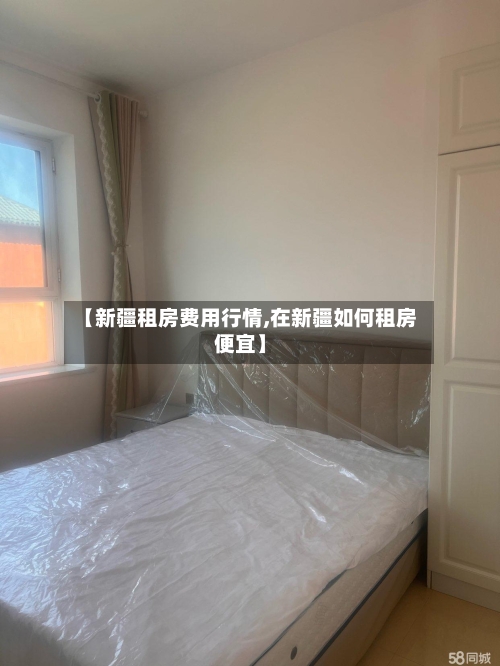 【新疆租房费用行情,在新疆如何租房便宜】-第3张图片
