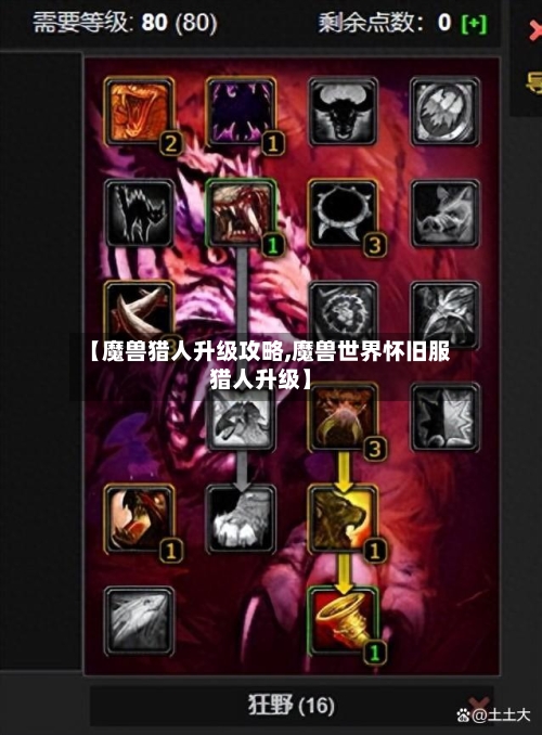 【魔兽猎人升级攻略,魔兽世界怀旧服猎人升级】